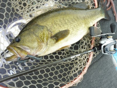 truth truth_news ブログ写真 2015/09/02