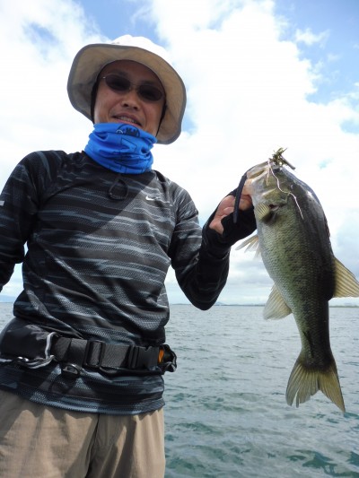 truth truth_news ブログ写真 2015/09/02