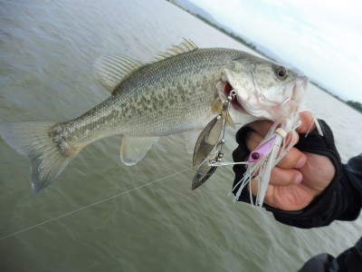 truth truth_news ブログ写真 2015/09/02