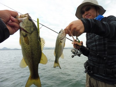 truth truth_news ブログ写真 2015/09/02