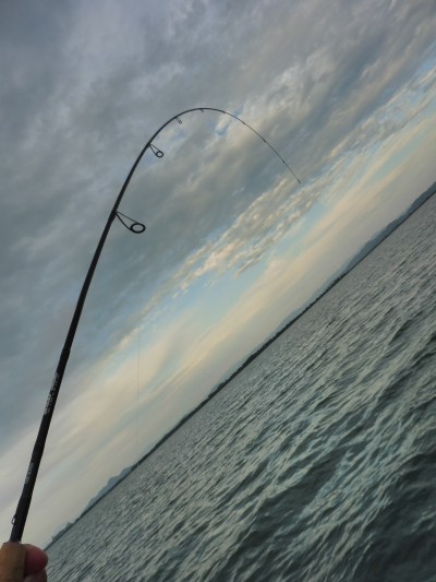 truth truth_news ブログ写真 2015/09/02