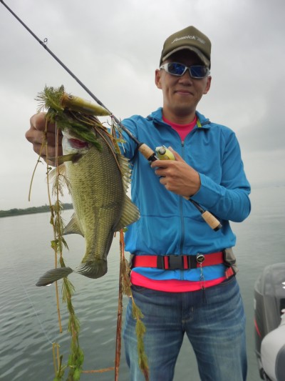 truth truth_news ブログ写真 2015/09/03