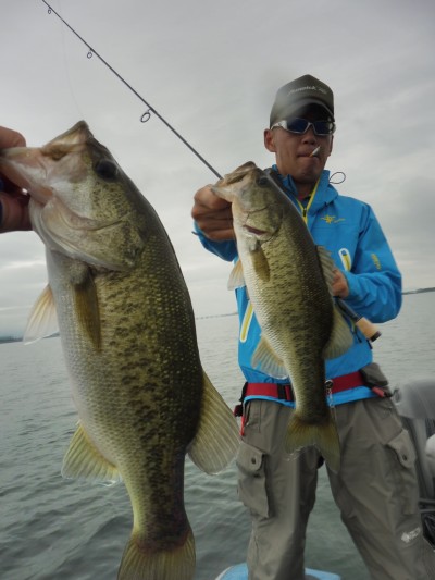 truth truth_news ブログ写真 2015/09/03