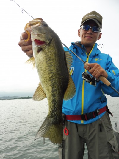 truth truth_news ブログ写真 2015/09/03