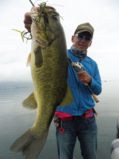 truth truth_news ブログ写真 2015/09/03