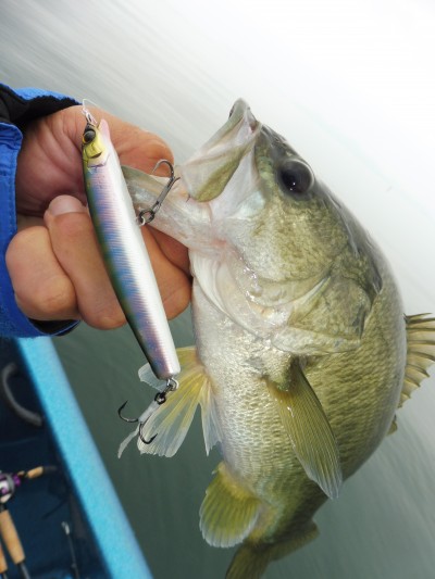 truth truth_news ブログ写真 2015/09/03