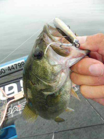 truth truth_news ブログ写真 2015/09/03