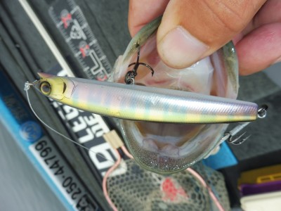 truth truth_news ブログ写真 2015/09/03