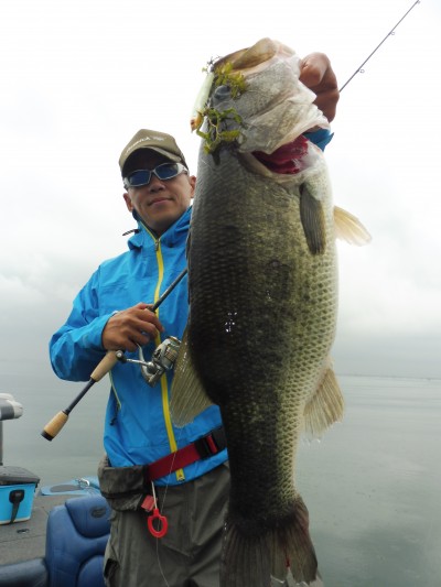 truth truth_news ブログ写真 2015/09/03