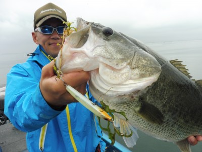 truth truth_news ブログ写真 2015/09/03