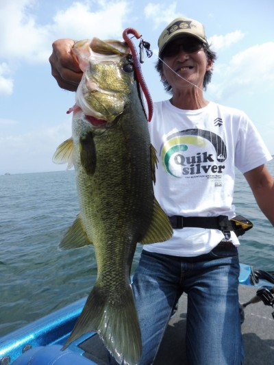 truth truth_news ブログ写真 2015/09/04