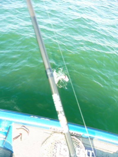 truth truth_news ブログ写真 2015/09/04