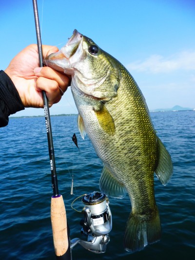 truth truth_news ブログ写真 2015/09/04