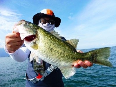 truth truth_news ブログ写真 2015/09/05