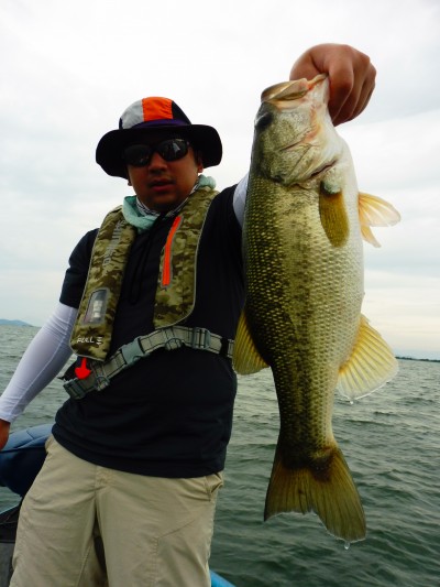 truth truth_news ブログ写真 2015/09/05