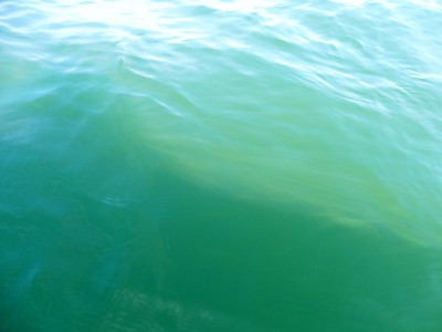 truth truth_news ブログ写真 2015/09/05