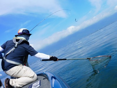 truth truth_news ブログ写真 2015/09/05