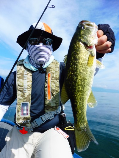 truth truth_news ブログ写真 2015/09/05