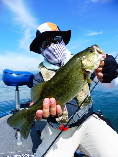 truth truth_news ブログ写真 2015/09/05