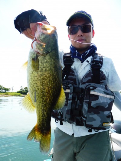 truth truth_news ブログ写真 2015/09/05