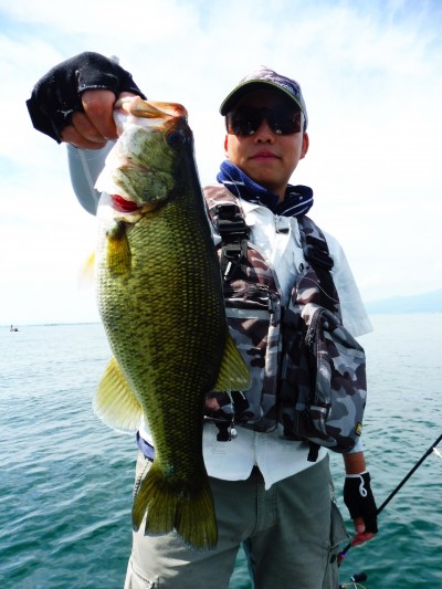 truth truth_news ブログ写真 2015/09/05