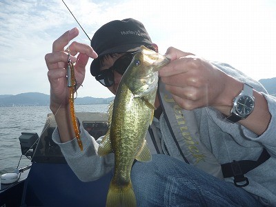 truth truth_news ブログ写真 2015/09/05