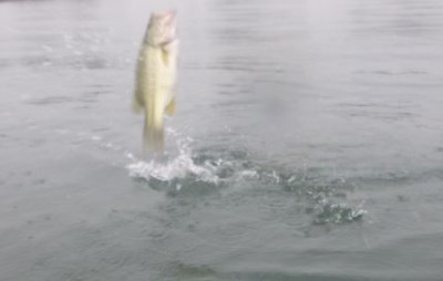 truth truth_news ブログ写真 2015/09/06