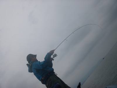 truth truth_news ブログ写真 2015/09/06