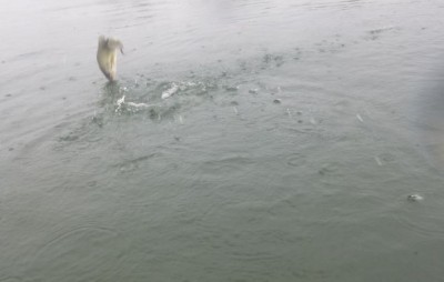 truth truth_news ブログ写真 2015/09/06