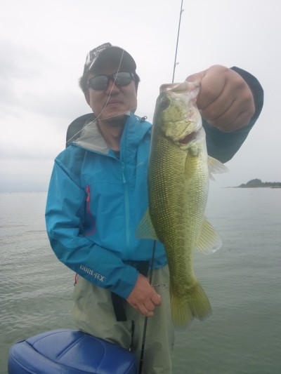 truth truth_news ブログ写真 2015/09/06