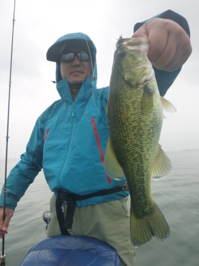 truth truth_news ブログ写真 2015/09/06