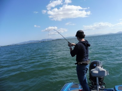 truth truth_news ブログ写真 2015/09/11