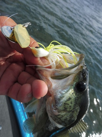 truth truth_news ブログ写真 2015/09/11