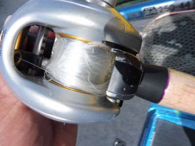 truth truth_news ブログ写真 2015/09/11