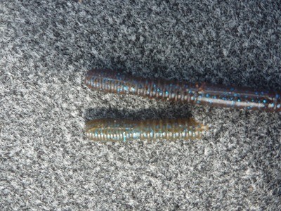 truth truth_news ブログ写真 2015/09/12