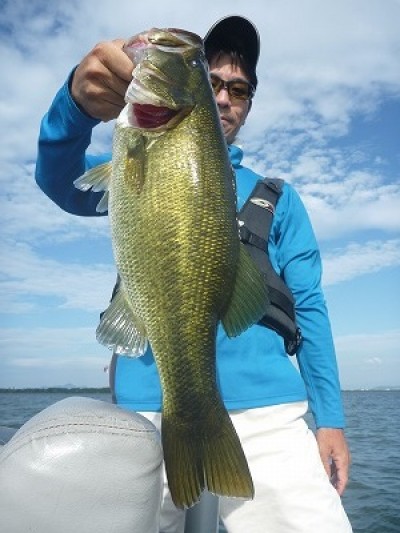 truth truth_news ブログ写真 2015/09/12