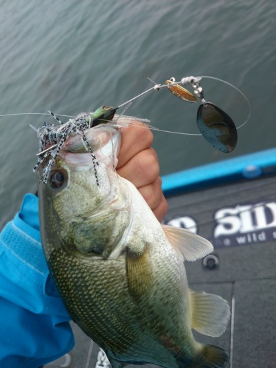 truth truth_news ブログ写真 2015/09/13