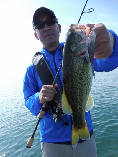 truth truth_news ブログ写真 2015/09/15