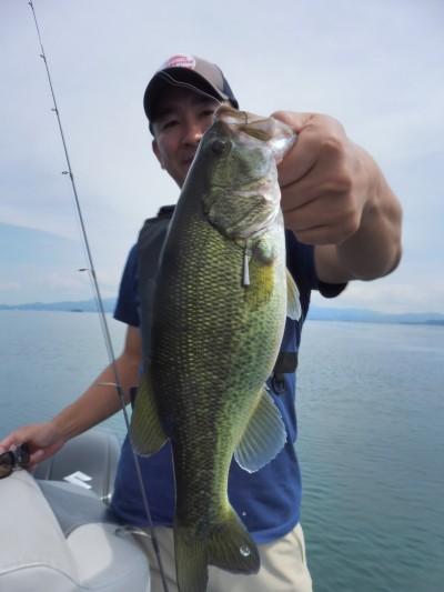 truth truth_news ブログ写真 2015/09/15