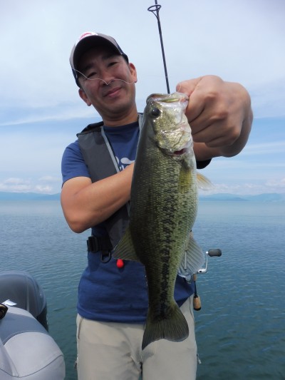 truth truth_news ブログ写真 2015/09/15