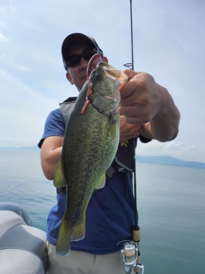 truth truth_news ブログ写真 2015/09/15