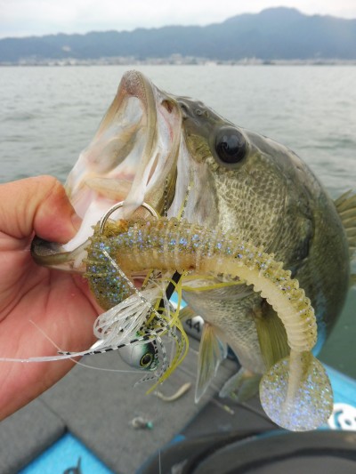 truth truth_news ブログ写真 2015/09/15