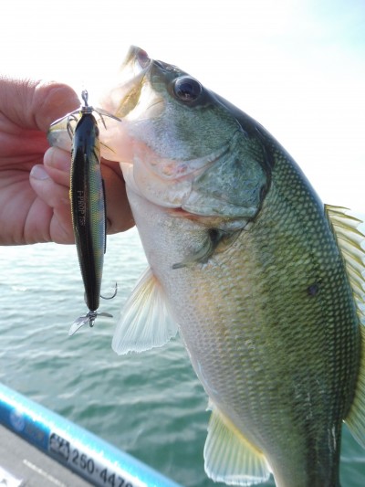 truth truth_news ブログ写真 2015/09/15