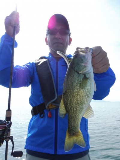 truth truth_news ブログ写真 2015/09/15