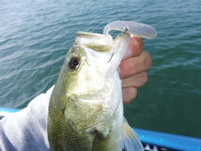 truth truth_news ブログ写真 2015/09/15