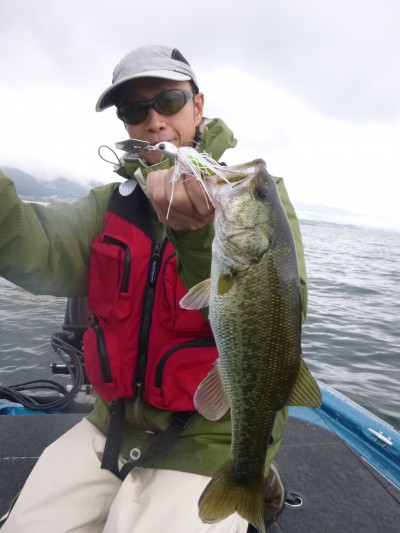 truth truth_news ブログ写真 2015/09/17