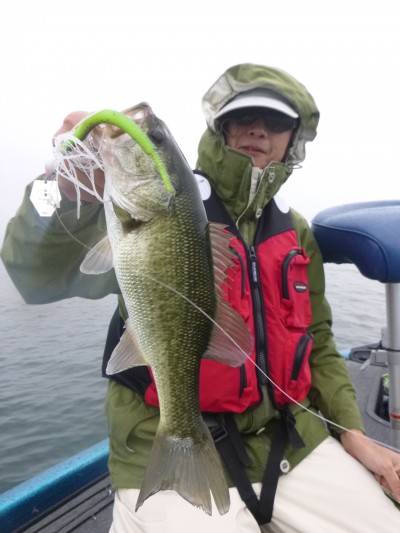 truth truth_news ブログ写真 2015/09/17