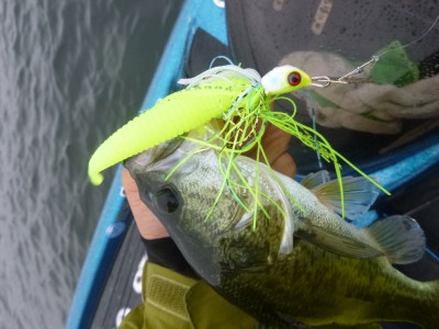 truth truth_news ブログ写真 2015/09/17