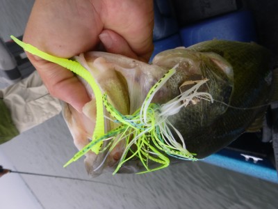 truth truth_news ブログ写真 2015/09/17