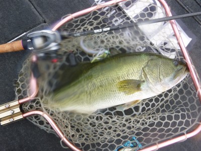 truth truth_news ブログ写真 2015/09/17